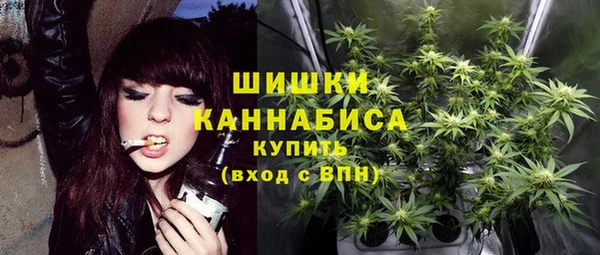ПСИЛОЦИБИНОВЫЕ ГРИБЫ Баксан
