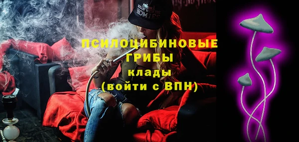 ПСИЛОЦИБИНОВЫЕ ГРИБЫ Баксан