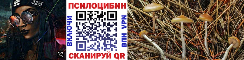 mega зеркало  наркота  Туринск  Галлюциногенные грибы Magic Shrooms 